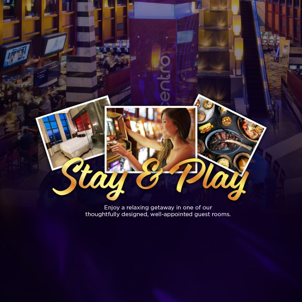 Stay & Play